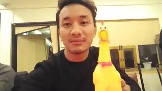 Playing with Squeaky Chicken Toy (vine)