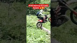 KTM переезд больших бревен в лесу 🤘 #ktm #enduro #мото #лес #2023 #adventure #питбайки #husqvarna