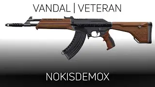 Valorant - Vandal Veteran POV | Custom Skin #Valorant #CustomSkin