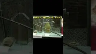 Grave of Hazrat Musa A.S #religion #viral #islam