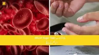 Reading and Interpreting Blood Test Reports (Urdu) | بلڈ ٹیسٹ کی رپورٹ پڑھیں اور سمجھیں!