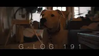 G-Log 191: Hanging in inner SE Portland