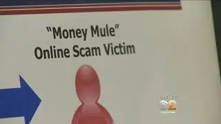 FBI Warns Of Online Romance Scams