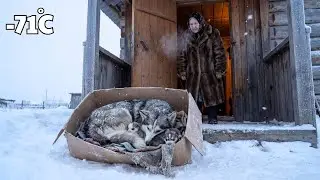 Widow Saves a Mother Dog and Her Pup | Surviving &ndash;71&deg;C Siberia
