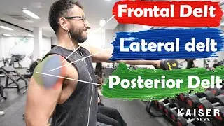 How to OPTIMIZE your shoulder workout!! (Reps and Sets included)