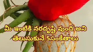 మీ ఇంటికి నరదృష్టి వుంది అని తెలియచేసే 5సంకేతాలు/astro remides for money/vastu tips