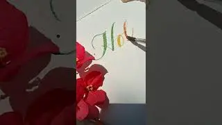 Happy Holi ✨ #trending #viralvideo #calligraphy #lettering #art #artist #holi #shorts