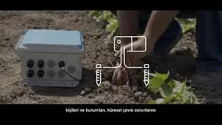 Microsoft AI For Earth