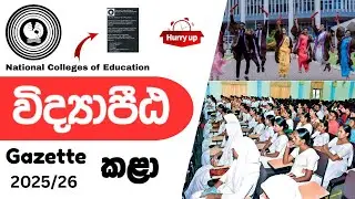 විද්&zwj;යාපීඨ Gazette කළා (NCoE) | Vidyapeeta Gazette 2025