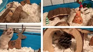 Theodore&rsquo;s Christmas Themed Hamster Cage Tour 2018