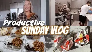 PRODUCTIVE SUNDAY VLOG:the biggest Costco and Trader Joe's haul ever, cleaning, meal prep + more!