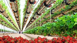 The Future of Agriculture Technology in 2023 - Beyond Expectations !!