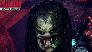 Stream! Predator Hunting Grounds | Hunt or Be Hunted 10 01 2025