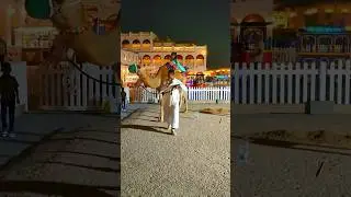 Qatar Street #qatar #trending  #qatar #travel #viral  #life #nature #highlights #shorts #shortvideo