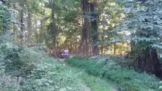 DP Quad Trail