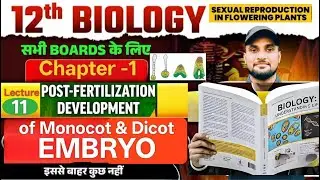 Development of embryo in dicot | द्विबीजपत्री पौधों में भ्रूण का विकास | Class12th | CH-01| Lect-11