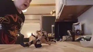 Kitchen fatal 8 Way Bron breaker Drew Logan Roman cm punk Darby Alian Randy 
