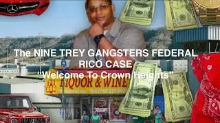 The Nine-Trey Gangsters BLOOD Gang RICO Case. Allegedly Since 1994|&ldquo;Bugout Boyz&rdquo;#crownheights#mafia