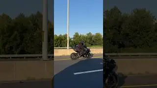 Ninja H2 Vandemon full titanium exhaust sounds insane🔥💚