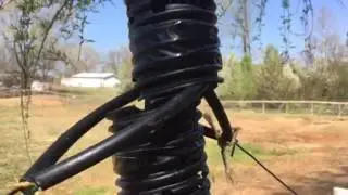 Protecting a trees bark from being chewed by Horses, goats and other animals