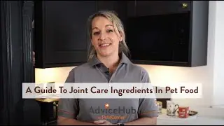 A Guide to Joint Care Ingredients in Pet Food
