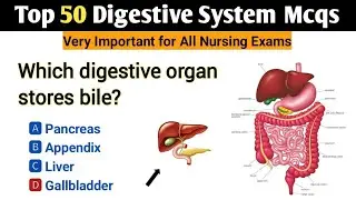 Top 50 Nursing Mcqs 2025 | Digestive System Mcqs | RRB nursing exam preparation | nursing mcqs