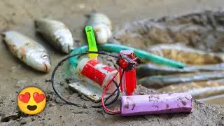 Diy Powerful Mini Water Pump Catch Fish The Pond ! Science Project ! Water Pump Project