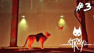 STRAY | Chapter 4 : Rooftops | Help Cat to Reach Rooftop | Full Gameplay Walkthrough