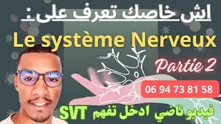Milleur Résumé  de Système Nerveux | SVT 3APIC  Partie 2 |  افهم الجهاز العصبي بسلاسة