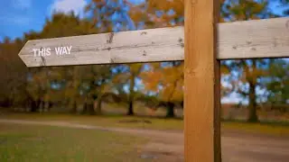 Acts 1-2: 02 Waiting and deciding (Video Bible Talks)