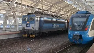 Pershing wyglądający zza Kaczokibla | Gliwice 3.01.2026