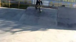 nose whip