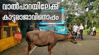 കാട്ടുരാജാവിനൊപ്പം  വാൽപാറയിലേക്ക് | Trip to Valpara | Thottathil transport | chalakkudi valpara bus