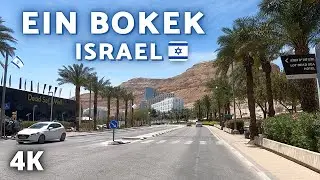 [4K] ROAD TRIP - NEGEV DESERT &rarr; EIN BOKEK | ISRAEL