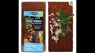 Tree-fern Panel Project Part 1