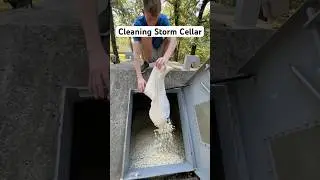 Cleaning Storm Cellar For Tornado Season #shorts