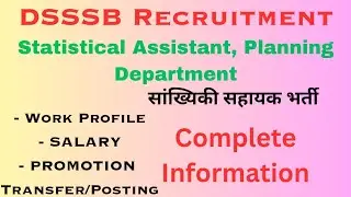 DSSSB Statistical Assistant - Work Profile, Salary, Promotion & Transfer Posting