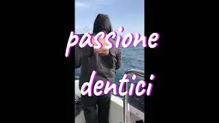 A pesca di dentici..giornata strepitosa 😍👍