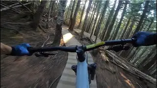 DEVILS CLUB | Blue trail | Whistler Bikepark