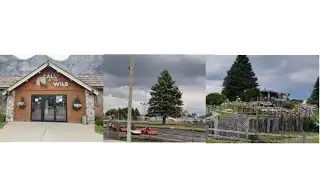 Road trip & big surprise 