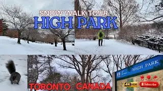 From Cherry Blossoms to Snow ❄️🌸 | High Park Toronto Winter Walk 4K