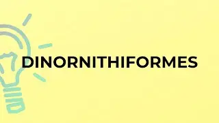 What is the meaning of the word DINORNITHIFORMES?