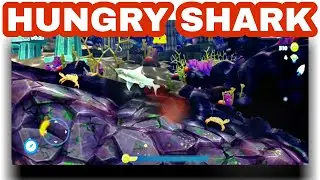 Hungry Shark | Grow in Coins | Android MuzicX | Gameplay | TouchArcade