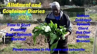 D.W.W. Gardening 2025: Time to Start Planting - and Overwintering Spinach Harvest