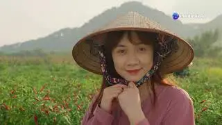 Vietnam: A Journey Through History, Culture, and Landmarks!