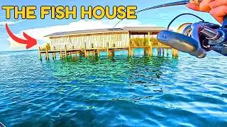 This Method Always Get's a Big Redfish | Charlotte Harbor Fisherman