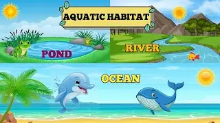 The living organism Characteristics & habitat-Aquatic habitats | class 6 science