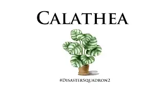 Calathea (2025): Recap #113 - Long Hidden Memories