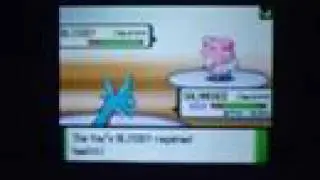 X4 vs flan master12 - Hack Attack!  Evil shadow tag Blissey!