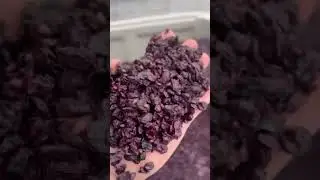 Harvest is over so we&rsquo;re done, right? 🍇 @sagebreaker #vineyard #vineyards #winemaking